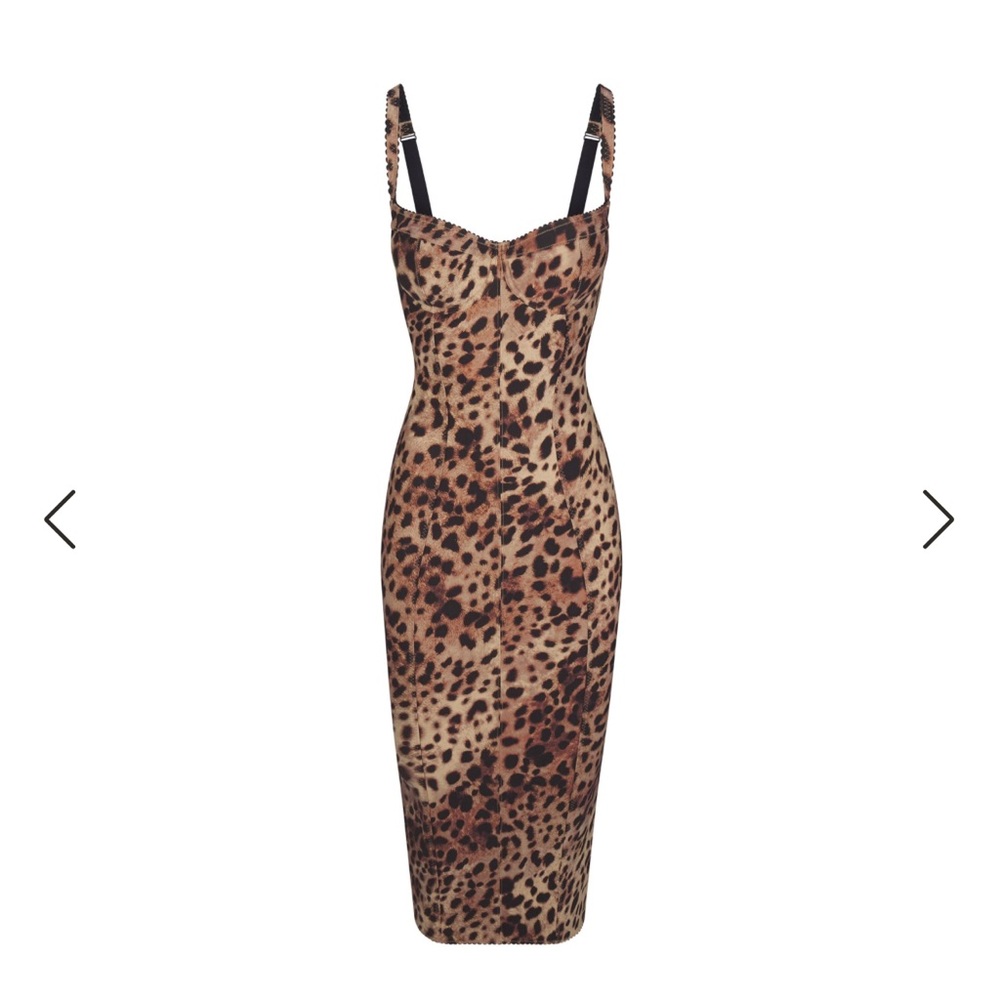 Skims x Dolce and Gabbana Dress
